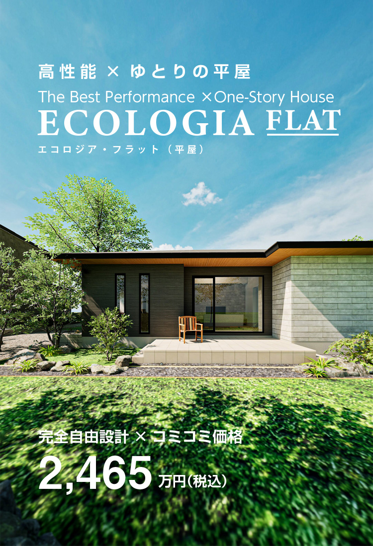 ECOLOGIA FLAT